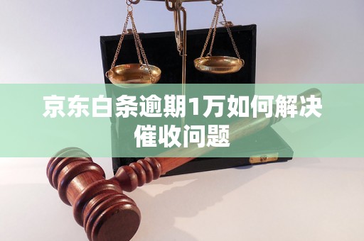 京东白条逾期1万如何解决催收问题