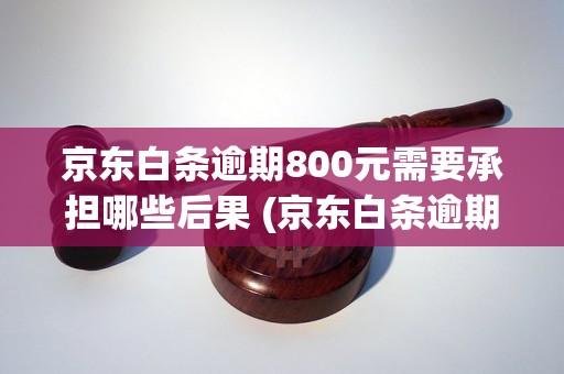 京东白条逾期800元需要承担哪些后果 (京东白条逾期罚息及处罚措施)