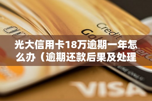 光大信用卡18万逾期一年怎么办（逾期还款后果及处理方式）