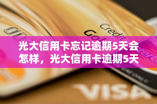 光大信用卡忘记逾期5天会怎样，光大信用卡逾期5天后的处罚措施