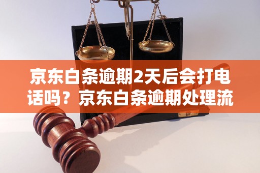 京东白条逾期2天后会打电话吗？京东白条逾期处理流程详解