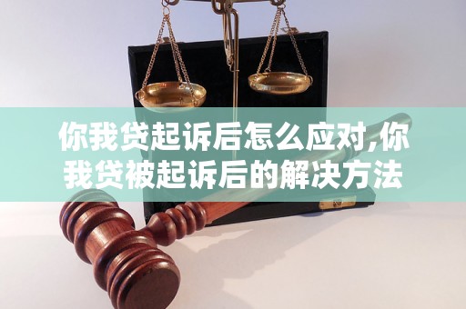 你我贷起诉后怎么应对,你我贷被起诉后的解决方法