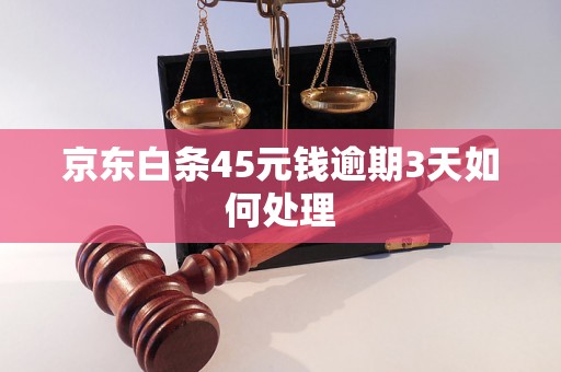 京东白条45元钱逾期3天如何处理