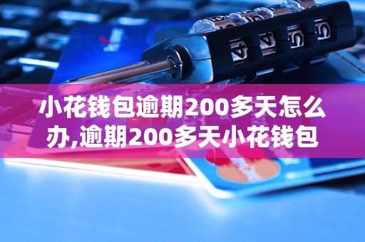 小花钱包逾期200多天怎么办,逾期200多天小花钱包催收流程