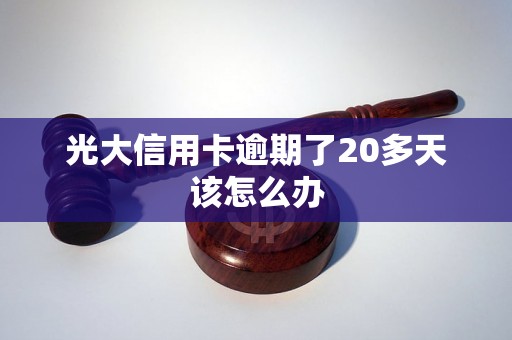 光大信用卡逾期了20多天该怎么办