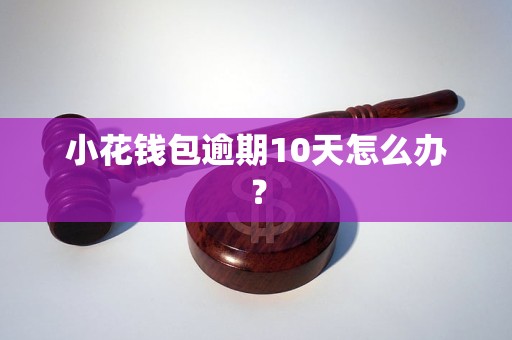 小花钱包逾期10天怎么办？