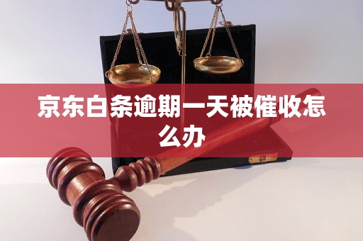 京东白条逾期一天被催收怎么办