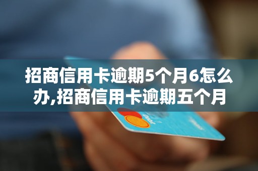 招商信用卡逾期5个月6怎么办,招商信用卡逾期五个月后果严重吗