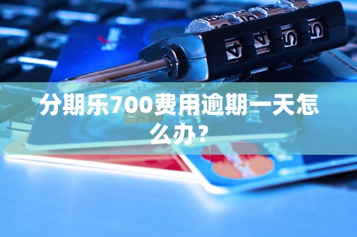 分期乐700费用逾期一天怎么办？