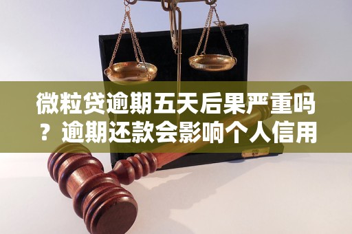 微粒贷逾期五天后果严重吗？逾期还款会影响个人信用吗？