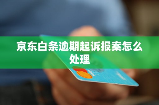 京东白条逾期起诉报案怎么处理