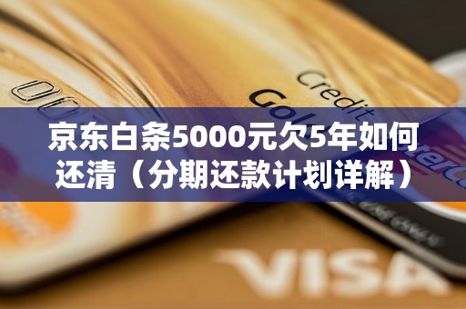 京东白条5000元欠5年如何还清（分期还款计划详解）