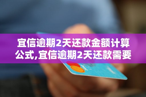 宜信逾期2天还款金额计算公式,宜信逾期2天还款需要额外支付的费用