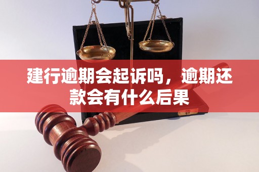 建行逾期会起诉吗，逾期还款会有什么后果