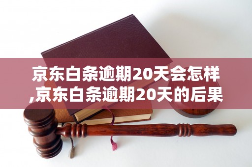 京东白条逾期20天会怎样,京东白条逾期20天的后果