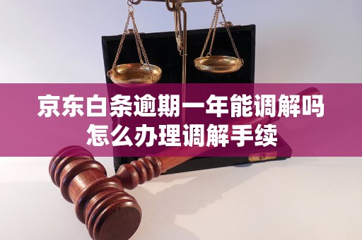 京东白条逾期一年能调解吗怎么办理调解手续