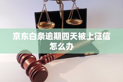 京东白条逾期四天被上征信怎么办