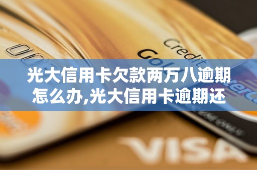 光大信用卡欠款两万八逾期怎么办,光大信用卡逾期还款处理方法