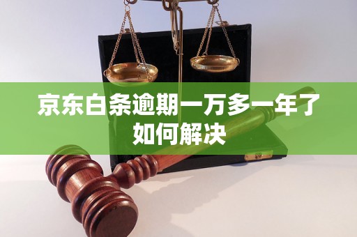 京东白条逾期一万多一年了如何解决