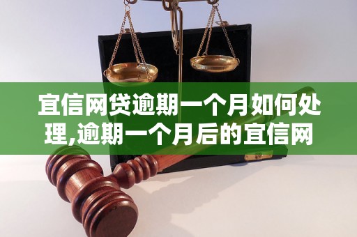 宜信网贷逾期一个月如何处理,逾期一个月后的宜信网贷还款方式