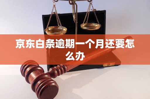 京东白条逾期一个月还要怎么办