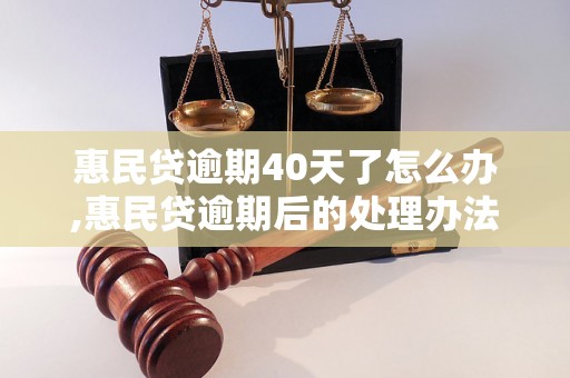 惠民贷逾期40天了怎么办,惠民贷逾期后的处理办法