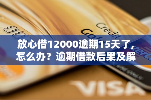 放心借12000逾期15天了,怎么办？逾期借款后果及解决方法