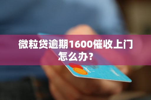 微粒贷逾期1600催收上门怎么办？