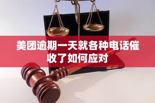 美团逾期一天就各种电话催收了如何应对