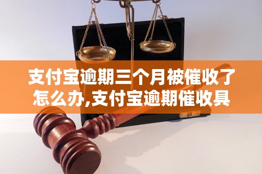 支付宝逾期三个月被催收了怎么办,支付宝逾期催收具体流程解析