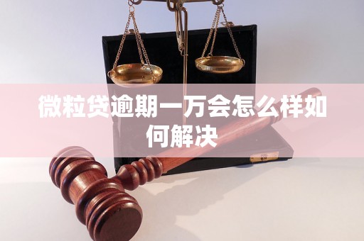 微粒贷逾期一万会怎么样如何解决