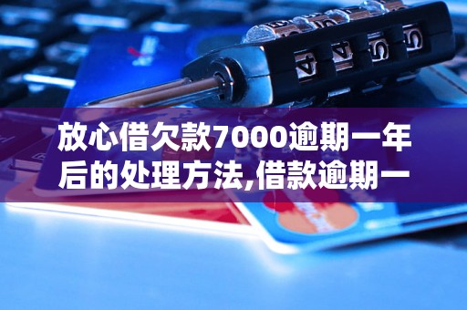 放心借欠款7000逾期一年后的处理方法,借款逾期一年后的解决方案