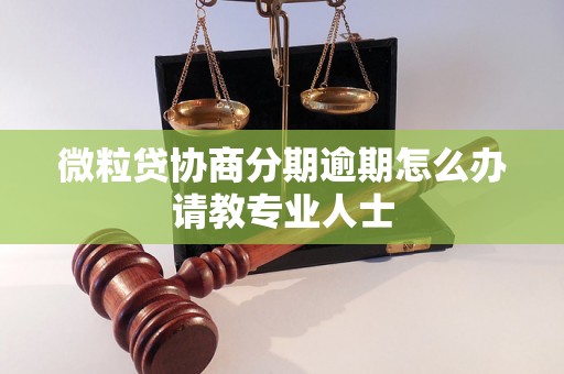 微粒贷协商分期逾期怎么办请教专业人士