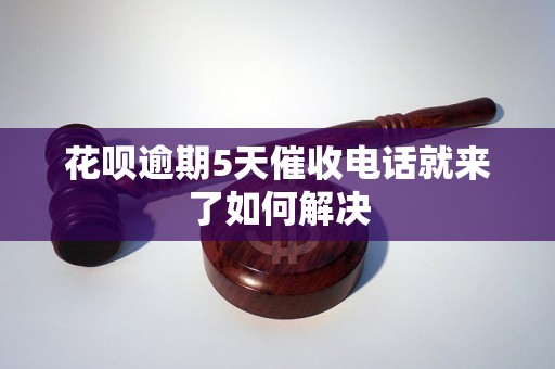 花呗逾期5天催收电话就来了如何解决