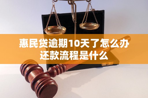 惠民贷逾期10天了怎么办还款流程是什么