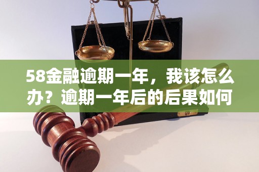 58金融逾期一年，我该怎么办？逾期一年后的后果如何处理？