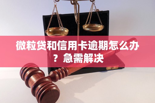 微粒贷和信用卡逾期怎么办？急需解决