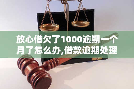 放心借欠了1000逾期一个月了怎么办,借款逾期处理方法