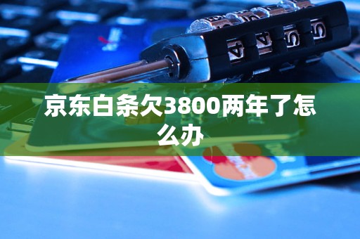 京东白条欠3800两年了怎么办