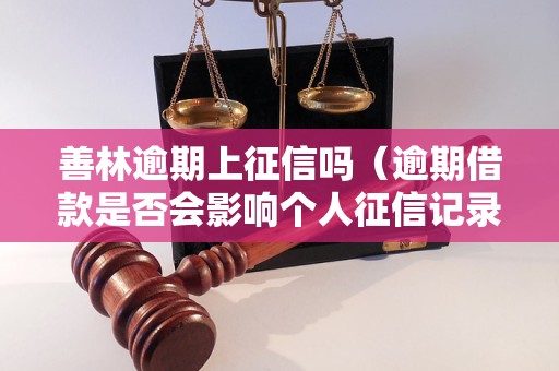 善林逾期上征信吗（逾期借款是否会影响个人征信记录）