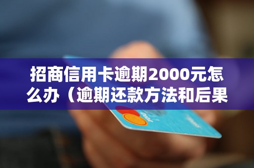 招商信用卡逾期2000元怎么办（逾期还款方法和后果）