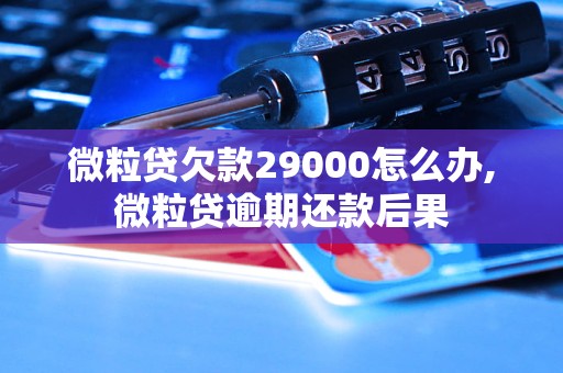 微粒贷欠款29000怎么办,微粒贷逾期还款后果