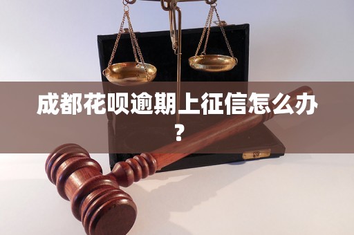 成都花呗逾期上征信怎么办？