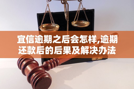 宜信逾期之后会怎样,逾期还款后的后果及解决办法