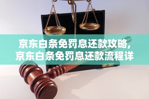 京东白条免罚息还款攻略,京东白条免罚息还款流程详解