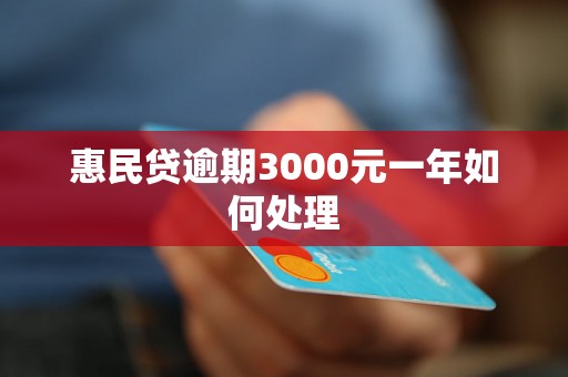 惠民贷逾期3000元一年如何处理