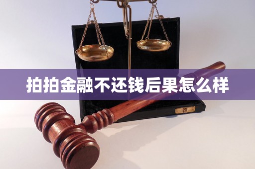 拍拍金融不还钱后果怎么样