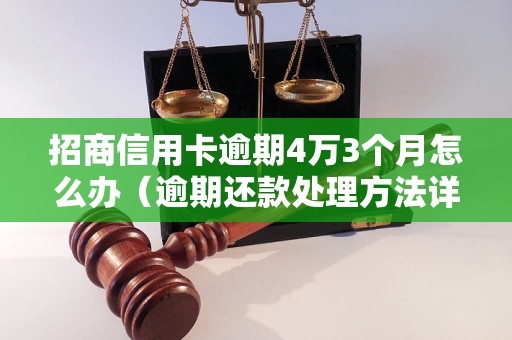 招商信用卡逾期4万3个月怎么办（逾期还款处理方法详解）