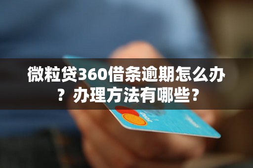 微粒贷360借条逾期怎么办？办理方法有哪些？