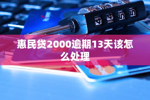 惠民贷2000逾期13天该怎么处理